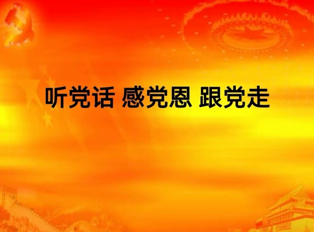 全县建立中小学校党组织领导的校长负责制实施方案插图